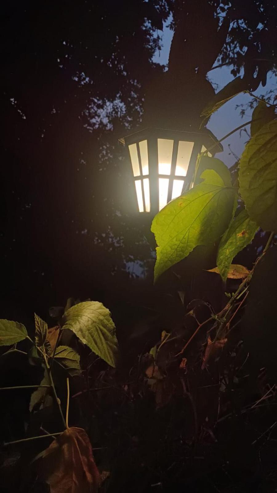 فندق Aam'S Courtyard كاليمبونج المظهر الخارجي الصورة