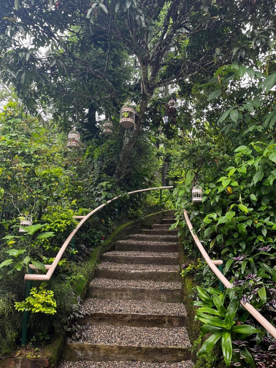 فندق Aam'S Courtyard كاليمبونج المظهر الخارجي الصورة