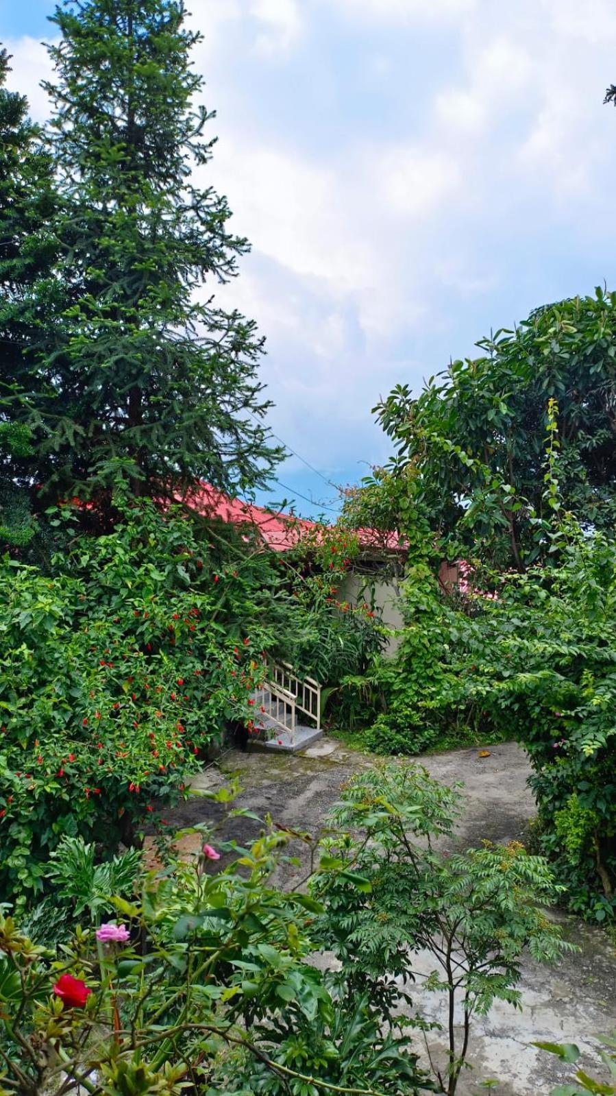 فندق Aam'S Courtyard كاليمبونج المظهر الخارجي الصورة